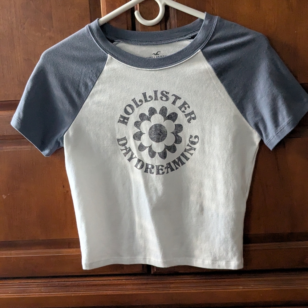 Hollister Gray and White Crop Top